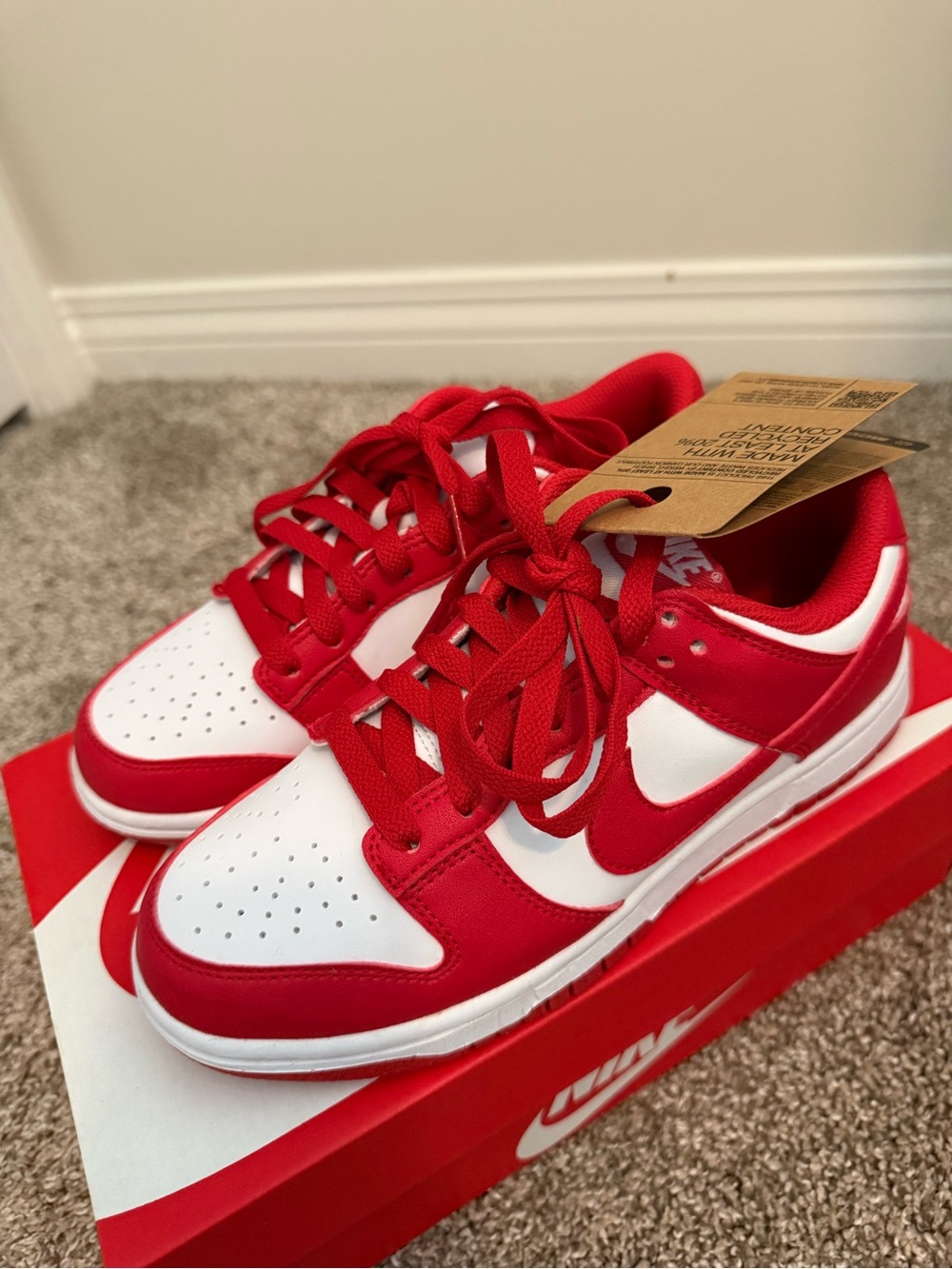 NWT Nike Dunk Low Next Nature Red & White